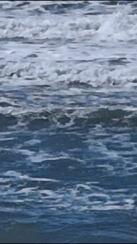 Simongip giphyupload GIF