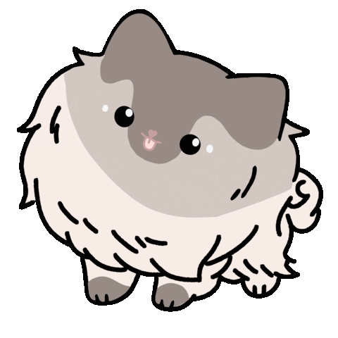 Dog Keeshond Sticker
