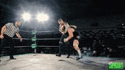 Wrestling GIF by SHWAperth