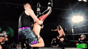 Wrestling GIF by SHWAperth