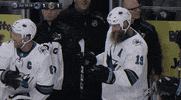 happy ice hockey GIF by NHL