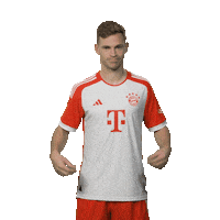 Football Sport Sticker by FC Bayern Munich