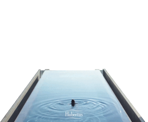 hotelhubertus giphyupload hotel hubertus hotelhubertus Sticker