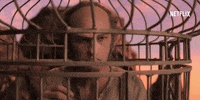 season 3 idiot GIF by NETFLIX