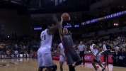 basketball GIF by UCF Knights