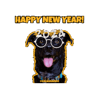 Dog Pet Sticker