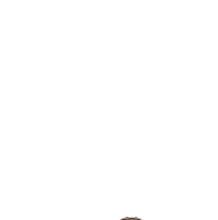 Dance Omg Sticker by Keshet Gifs