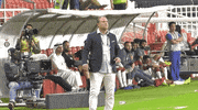 celebrate al jazira GIF by The Arabian Gulf League