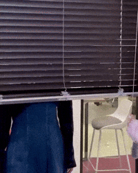 Window Ljy GIF