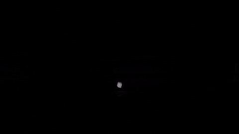 Bsp GIF by BlankSquareproductions