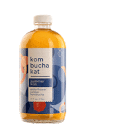 KombuchaKat drink cheers yum kombucha Sticker