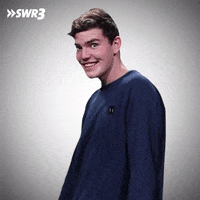 Look Ok GIF by SWR3