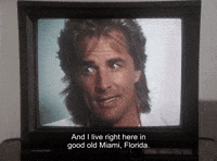 Miami Vice GIF by Goldmaster