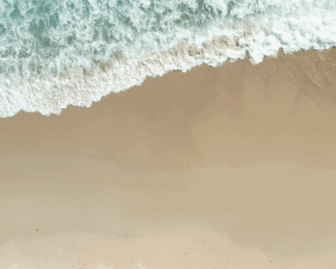 khigg514 giphyupload GIF