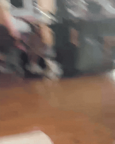 Respectivecollective GIF by Respective