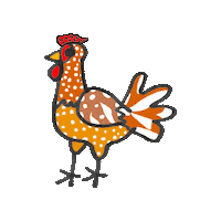Chickens Gallina Sticker