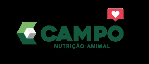 CAMPONUTRICAO giphyupload agro boi campo GIF