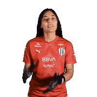 Football Soccer Sticker by Rayados