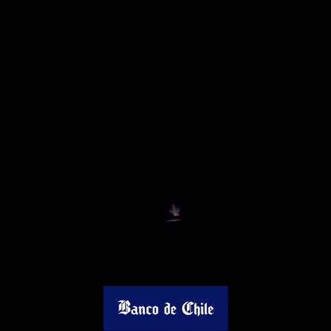 Lollapalooza Lollacl GIF by Banco de  Chile