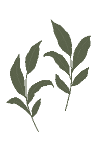 Leaf Sticker