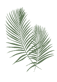 Leaf Sticker