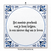 Humor Nl GIF by Tegelspreuken.nl