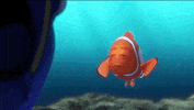 finding dory GIF by Disney/Pixar's Finding Dory