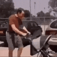 Twitter Hal GIF