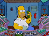homer simpson GIF