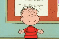 Youre Not Elected Charlie Brown GIF by Peanuts
