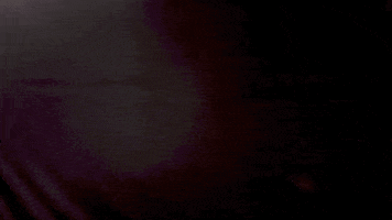 Nicolas Lodeiro Smile GIF by Seattle Sounders