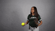 Iwutitans Tgoe GIF by iwusports