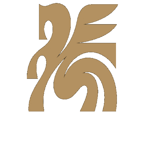 Dallas-Trinity-FC giphygifmaker dallas dtfc dallas trinity fc Sticker