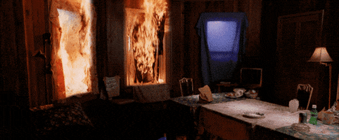 Leonardo Dicaprio GIF by Coolidge Corner Theatre