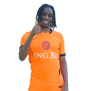 Ing Sticker by INGNederland