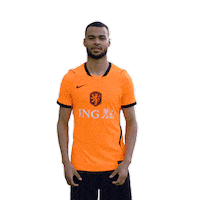 Ing Sticker by INGNederland