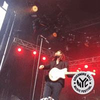 father john misty governors ball GIF by GOVBALL NYC