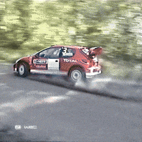 Car Crash Exit GIF by FIA World Rally Championship
