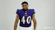 Celebrate Charm City GIF by Baltimore Ravens