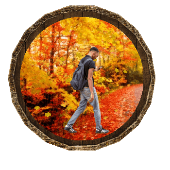 Fall Autumn Sticker