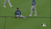Regular Season Sport GIF by MLB