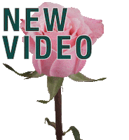 New Video Aob Sticker by Barbarella