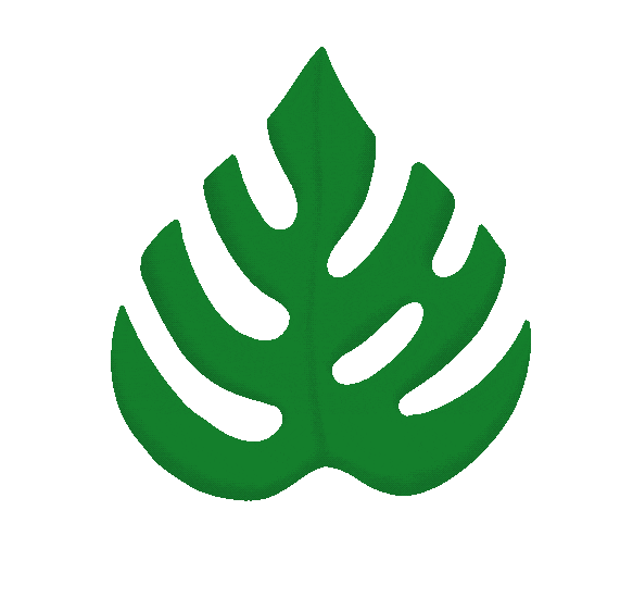 julira giphyupload summer holiday plant Sticker