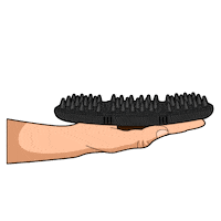 Animalon Pferdepflege Sticker by Animalon_Official