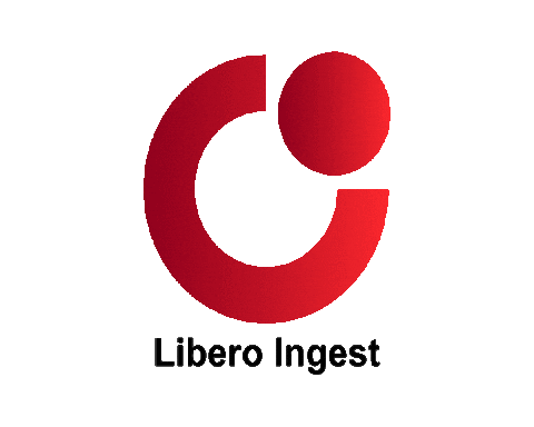 LiberoSystems giphyupload sports football replay Sticker