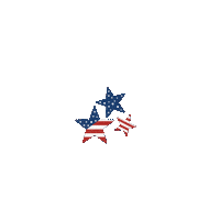 Stars Usa Sticker by Kyte Baby