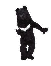Dance Bear Sticker by CRITIC