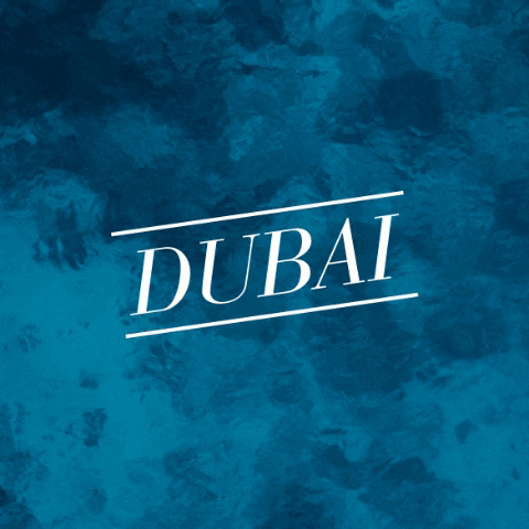 GIF by Radisson Blu Hotel, Dubai Waterfront