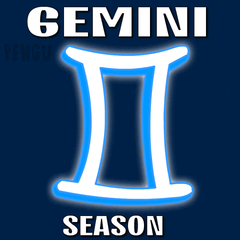 Happy Birthday GIF by Pudgy Penguins