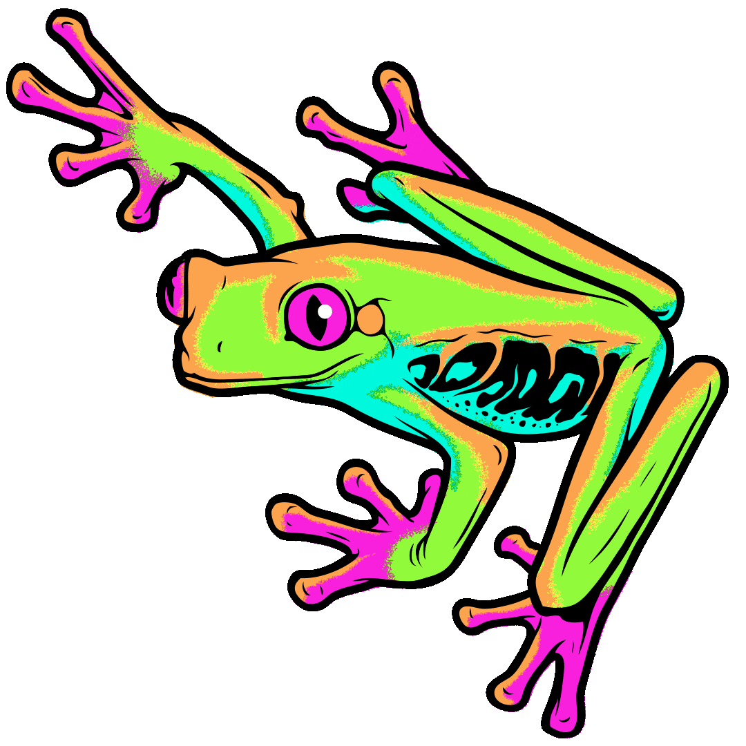 tree frog eyes Sticker by Insomniac Events
